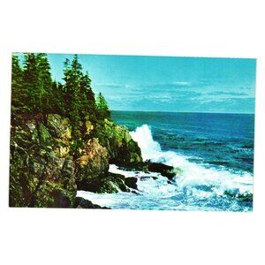 Otter Cliff Bar Harbor Maine Postcard Shore Line Drive Acadia National Park Gift